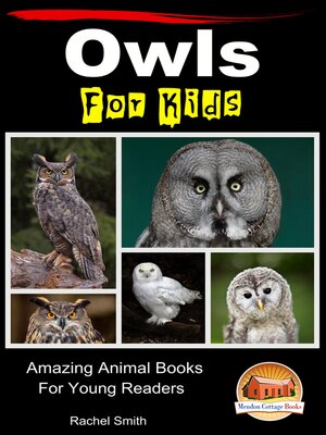 cover image of Owls For Kids